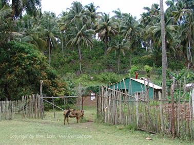 2010 Cuba, Chivirico - Baracoa, DSC09874b_B740